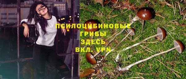 МДПВ Алексин